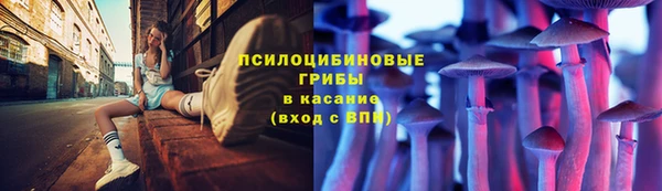 ПСИЛОЦИБИНОВЫЕ ГРИБЫ Алексин