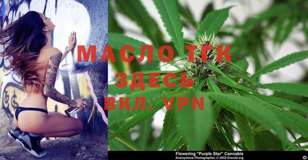 ПСИЛОЦИБИНОВЫЕ ГРИБЫ Алексин